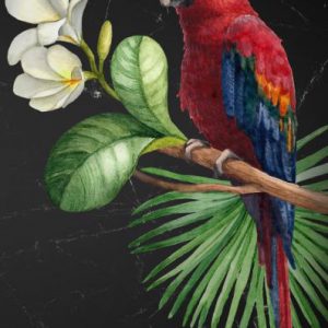 Parrot – papier do decoupage Mint by Michelle A3